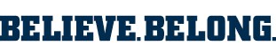 www.lions.com.au