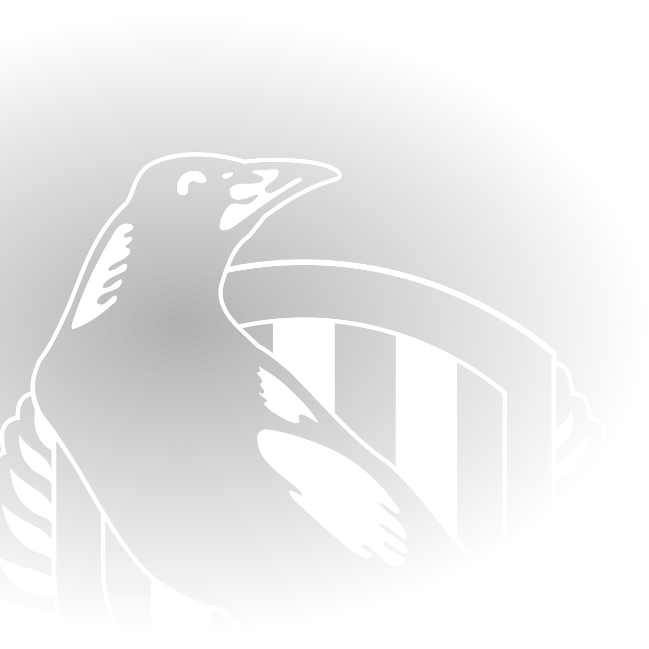 afl-news-fixtures-scores-results-afl-au